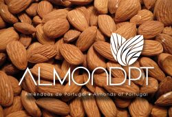 Almondpt