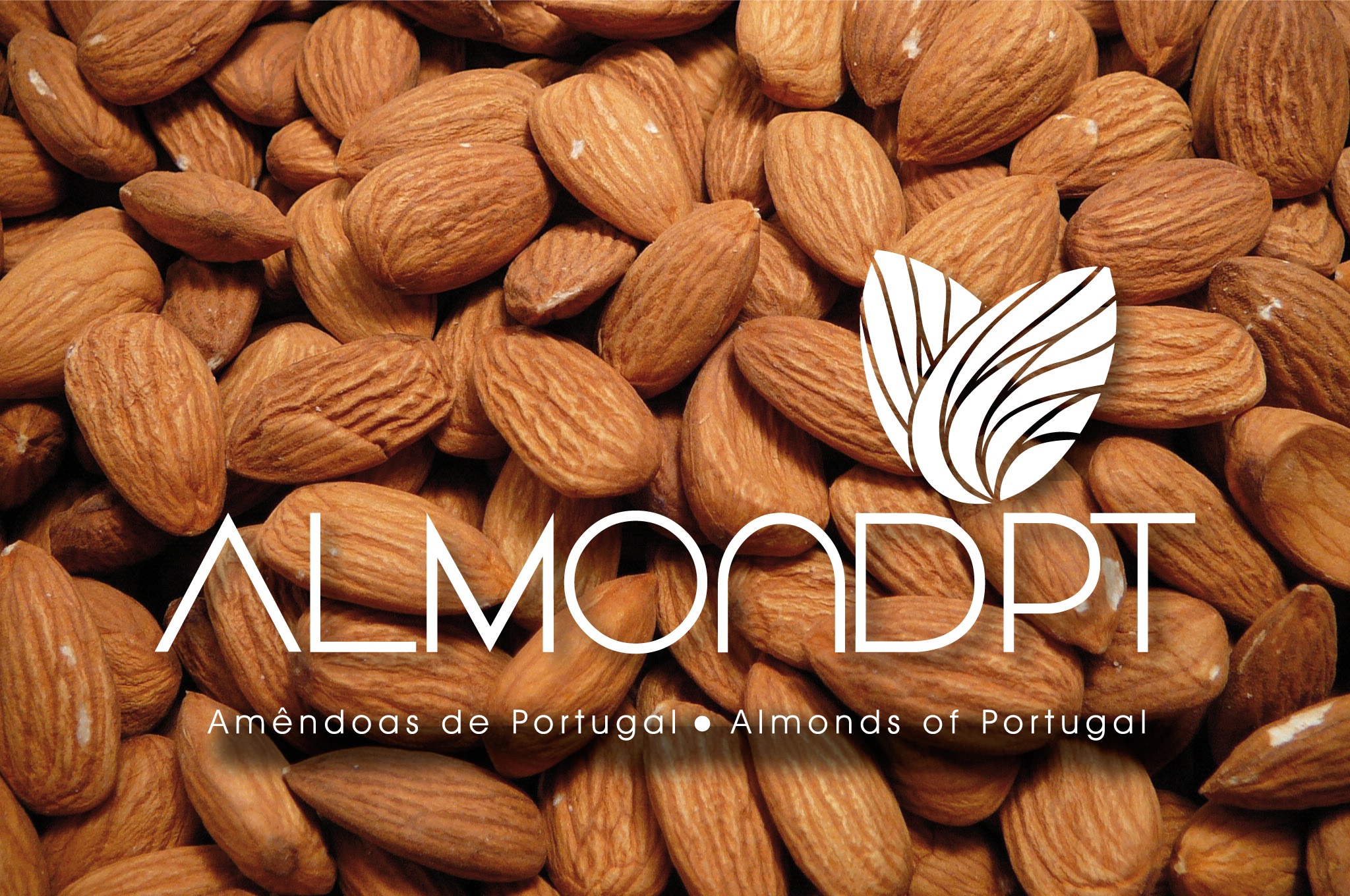 Almondpt