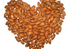 Qualidades alimentícias da Amêndoa