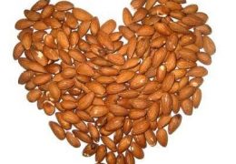Qualidades alimentícias da Amêndoa