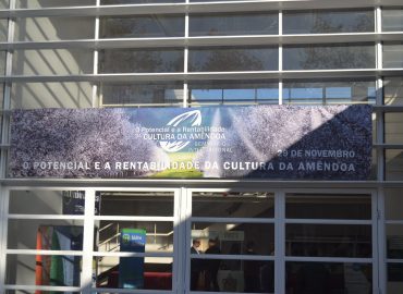 Seminário sobre amêndoa em Santarém
