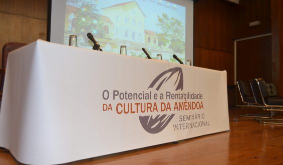 Seminário Internacional – O Potencial e a Rentabilidade da Cultura da Amêndoa