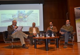 Mesa Redonda no Seminário ” O potencial e a rentabilidade da cultura da amêndoa”