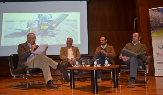 Mesa Redonda no Seminário ” O potencial e a rentabilidade da cultura da amêndoa”