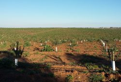 Visita à Herdade da Mingorra