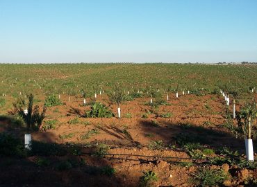 Visita à Herdade da Mingorra