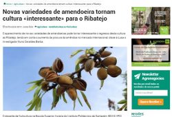 Entrevista de Nuno Geraldes Barba à AgroNegócios