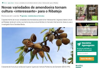 Entrevista de Nuno Geraldes Barba à AgroNegócios