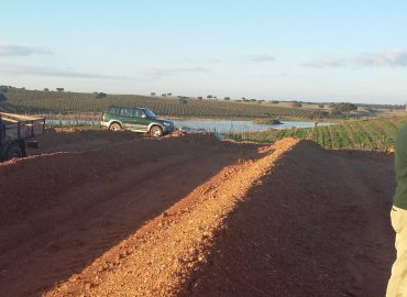 Visita a amendoal no Monte das Marzalonas, Trindade, Beja