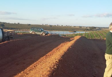 Visita a amendoal no Monte das Marzalonas, Trindade, Beja