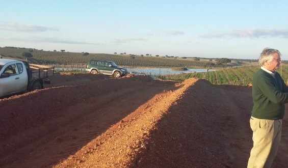 Visita a amendoal no Monte das Marzalonas, Trindade, Beja