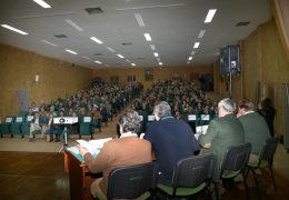 Colóquio sobre amêndoa em Elvas e apresentação de 2 novas OPs.