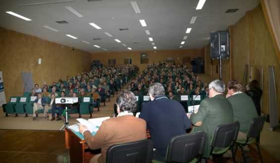 Colóquio sobre amêndoa em Elvas e apresentação de 2 novas OPs.