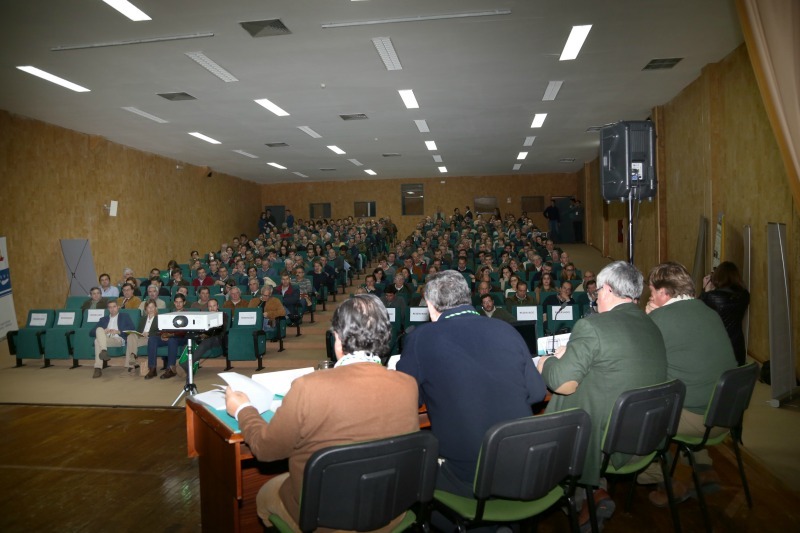Colóquio sobre amêndoa em Elvas e apresentação de 2 novas OPs.