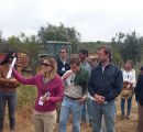 Visita de Campo a amendoal na Herdade Torre de Figueiras, Monforte