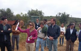 Visita de Campo a amendoal na Herdade Torre de Figueiras, Monforte