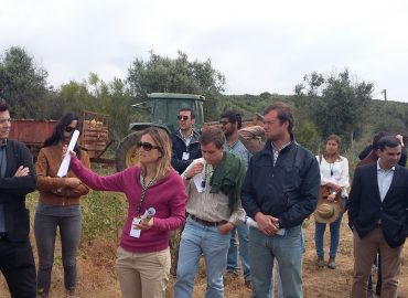 Visita de Campo a amendoal na Herdade Torre de Figueiras, Monforte