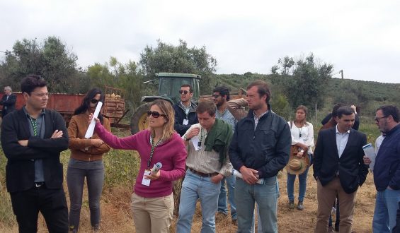 Visita de Campo a amendoal na Herdade Torre de Figueiras, Monforte