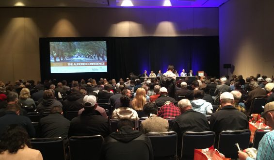 Almond Conference Dezembro de 2018