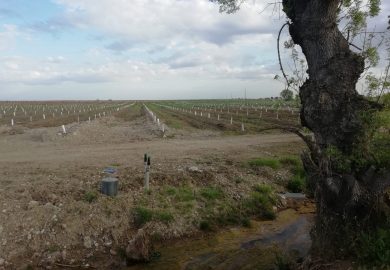 Visita à Herdade da Coelheira, Santa Vitória, Beja