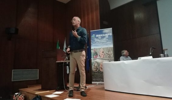 Apresentação de Xavier Miarnau, no II Seminário Internacional AlmondPT