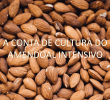 Apresentação de Afonso Lebre, no II Seminário Internacional AlmondPT