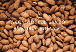 Apresentação de Afonso Lebre, no II Seminário Internacional AlmondPT