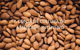 Apresentação de Afonso Lebre, no II Seminário Internacional AlmondPT