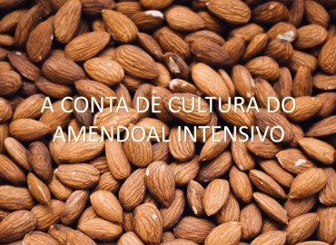 Apresentação de Afonso Lebre, no II Seminário Internacional AlmondPT