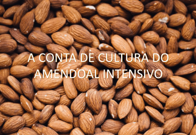 Apresentação de Afonso Lebre, no II Seminário Internacional AlmondPT