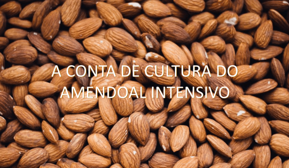 Apresentação de Afonso Lebre, no II Seminário Internacional AlmondPT