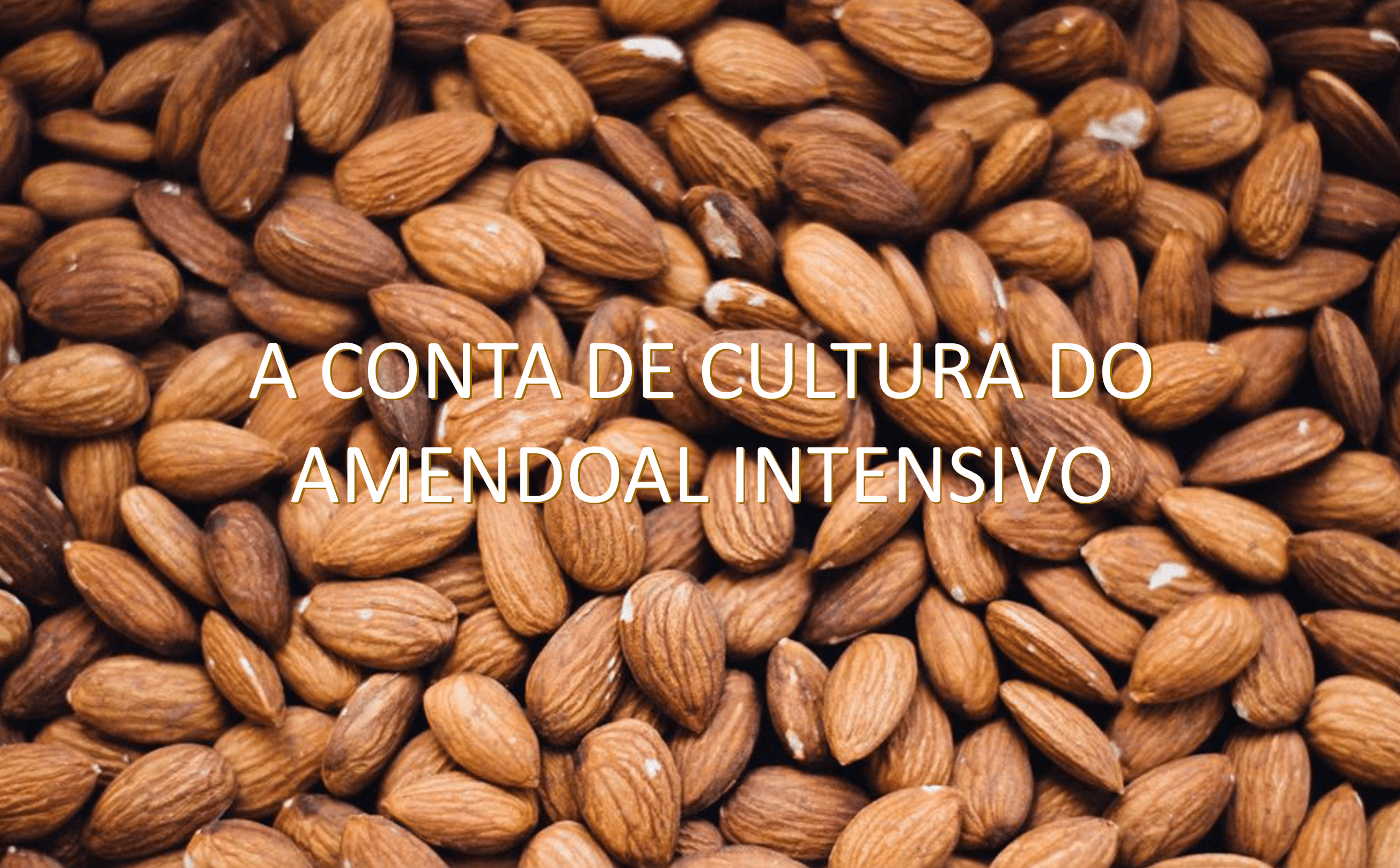 Apresentação de Afonso Lebre, no II Seminário Internacional AlmondPT